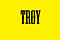 TroyX
