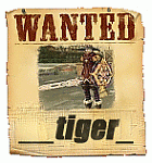   _tiger__