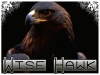   Wise Hawk