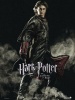   kokopotter