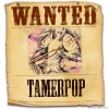   taamer